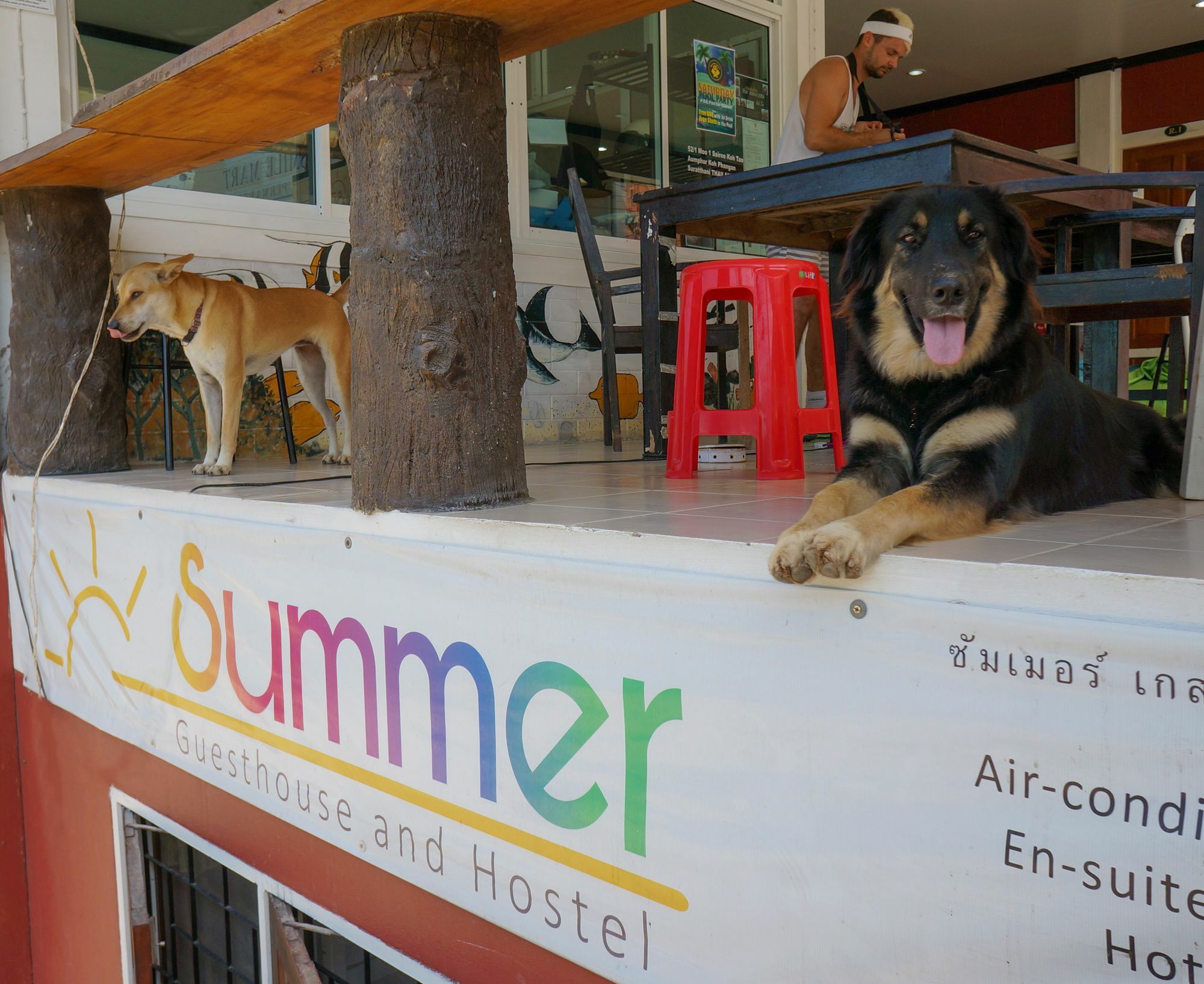 Summer Guesthouse And Hostel Тау Экстерьер фото